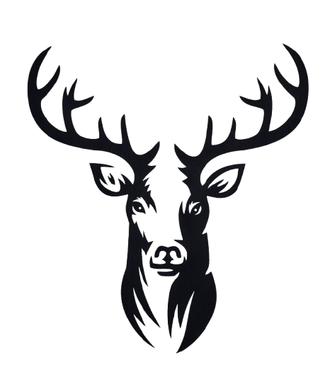 Décoration murale - Cerf majestueux