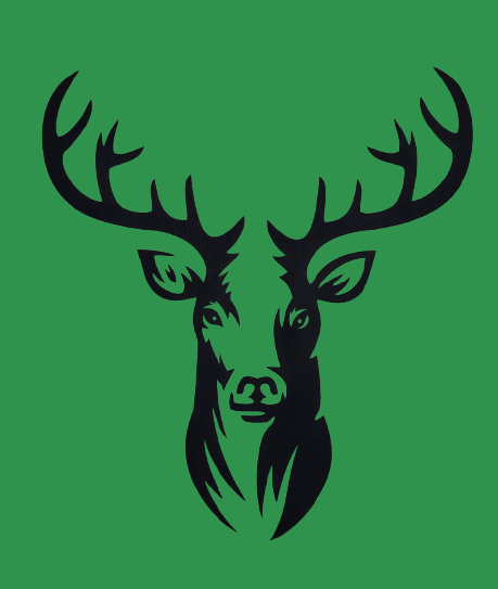 Décoration murale - Cerf majestueux